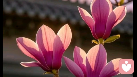 你焦虑了一生，其实毫无意义：真正治愈内耗的，是直面恐惧