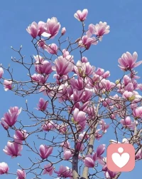 选咨询师，倾听师，不是在选一份简历，是在选一段关系。

条件只能保证他“合格”，保证不了他“适合”。就像相亲，条件只能让你愿意坐下来聊，真正决定能不能走下去的，是你和他在一起的感觉——你放松吗？你安全吗？你能做自己吗？

精神分析的研究早就证实：咨询起效的核心，不是技术有多好，而是你和咨询师之间能建立起什么样的关系。治疗效果的40%来自关系本身，技术和理论只占15%。配图