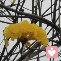 每一天，学着停下脚步，倾听内心的低语。
觉察让我明白，愤怒的背后是渴望，焦虑的深处是期待，而我们每一个情绪，都是心灵的语言。