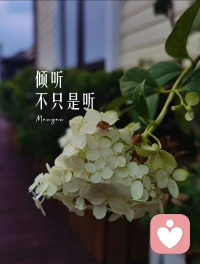 最深的孤独，不是一个人
而是站在人群里，却觉得自己的声音永远不会被听见。
我在这里就是为了“听见你”配图