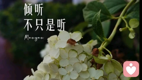找陌生人倾诉，真的能释怀吗？