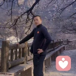大树的头像