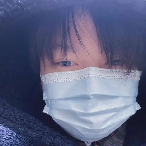 六六