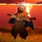 21362553