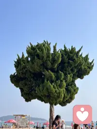 離你上一次全心全意，認(rèn)真對待一段戀愛和一個(gè)人，已經(jīng)過去多久了呢