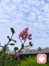 記住：
你就是珍寶
你值得這個世界上所有的美好
我和整個宇宙都愛你配圖