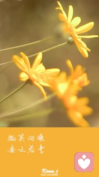 微笑向暖，安之若素。配圖