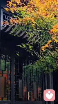 一年好景君須記，最是橙黃橘綠時(shí)。。。