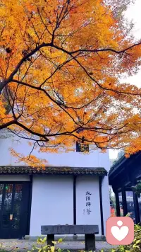 一年好景君須記，最是橙黃橘綠時(shí)。。。