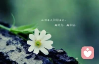 若無執念掛心頭，人生便是好時節。配圖