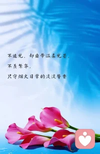 早安心语:
被讨厌，
是你自由的证明。
犹太教义有个“2：7：1”定律：10%的人随时准备攻击你，
20%的人无条件爱你，
70%的人中立。
讨好型人格为了那10%，
战战兢兢地活，
背叛了另外90%，
更背叛了自己。
阿德勒说：
真正的自由，
就是敢于被别人讨厌。
当你不再怕被讨厌，
你才终于拥有了自己的人生。