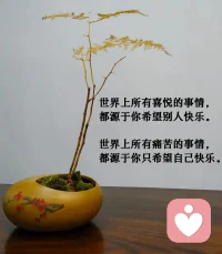 早安心语:
生活并不总是宏大的转折，
更多时候只是寻常的重复。
若总期待高潮来临，
平常便被视为无意义的过渡。
然而真正构成人生的，
恰恰是这些被轻视的日常。配图