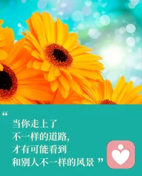 早安心语:
人最难放下的，
往往不是真正重要的，
而是花了大量时间与力气的。那种执着，
本质上是对已付成本的维护，而非对真正价值的判断。