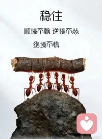 早安心语:
你持续关注什么，
就会在生命中放大什么。
你的注意力本身，
就是一种创造性的能量，
它既是因，
也是构建结果的砖石。配图