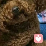 懂得多了心疼的头像