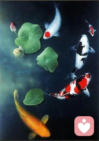 出轨挽回：不是卑微求和，而是清醒修复与自我救赎
 
当出轨的裂痕划破感情的完整，很多人会陷入两种极端：要么歇斯底里地纠缠，把自己活成面目可憎的乞讨者；要么心灰意冷地逃离，在遗憾与不甘中反复内耗。其实，出轨后的挽回，从来不是一场“求对方回头”的卑微博弈，而是一场关于“是否值得修复”“如何修复”的自我审视与关系重建——它需要勇气，更需要清醒；需要付出，更需要底线。
 
首先要明确一个核心：挽回的前提，是你真的想清楚了“为什么挽回” 。不是因为习惯了依赖、害怕孤独，不是因为不甘心自己的付出被辜负，更不是因为“为了孩子”而勉强凑活，而是你发自内心地认可这段关系的价值，也愿意正视出轨背后的问题，更有勇气去承担修复过程中的痛苦与考验。如果只是一时冲动，或是抱着“报复性挽回”“不甘心输”的心态，那么即使暂时挽回，裂痕也会一直存在，最终只会让彼此陷入更深的内耗。
 
出轨对被背叛者而言，是一场毁灭性的打击——信任崩塌、自尊受挫、安全感彻底瓦解，那些深夜的辗转反侧、反复追问的“为什么”，那些自我怀疑的瞬间，都是无法回避的伤痛。但请记住，伤痛不是你卑微求和的理由 。挽回的第一步，从来不是急着找对方道歉、忏悔，或是卑微地承诺“我以后再也不会了”，而是先停下来，处理自己的情绪，接纳自己的伤痛。允许自己难过、愤怒、委屈，允许自己有一段“疗伤期”，不要强迫自己立刻“坚强”，也不要因为情绪失控而做出伤害自己或对方的事。只有当你能够平静下来，客观地看待这段关系、看待出轨这件事，才能做出最理性的选择——是挽回，还是放手。
 
如果经过深思熟虑，你依然选择挽回，那么请记住：挽回不是“讨好”，而是“重建信任” 。信任一旦破碎，重建需要漫长的时间，更需要实打实的行动，而不是空洞的承诺。很多人在挽回时，总喜欢反复说“我错了，我以后再也不这样了”，但这句话在被背叛者看来，毫无分量——出轨的那一刻，你已经打破了承诺，再动听的话语，也抵不过一次实实在在的改变。
 
重建信任，首先要做到“透明化”。主动向对方坦白出轨的全部细节（不要刻意隐瞒，也不要过度渲染），解释出轨的原因（不是找借口，而是客观分析，比如自身的贪婪、对关系的忽视、沟通的缺失等），并且主动接受对方的监督——比如主动分享自己的行程、手机密码，不回避对方的追问，哪怕对方的态度冷漠、语气尖锐，也要耐心回应。