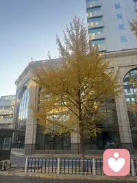 如果智慧浮现 烦恼便会消散