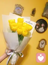 把美好赠予世界配图