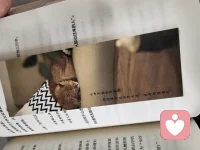 这世界偷偷爱着你。但你要赶在世界爱你之前，先好好爱自己。