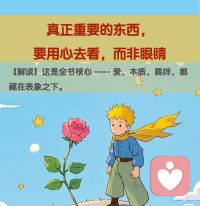 《小王子》，教会我的东西。配图