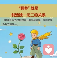 《小王子》，教会我的东西。配图