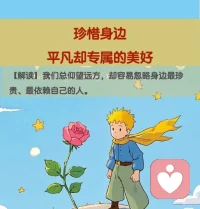 《小王子》，教会我的东西。配图