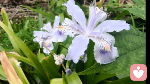 要笑：在褶皱里，把温柔还给自己