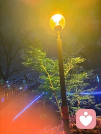 爱这个世界上美好的事物。