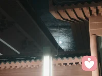 爱这个世界上美好的事物。