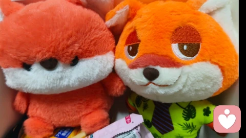 岁月更迭，自有重逢