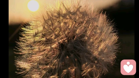 爱买新衣，从来不是错，是好好爱自己