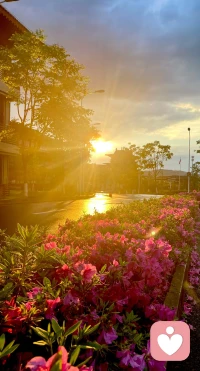 当☁️出现，爱便有了形状。