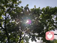 六一快乐，每天都健健康康，开开心心，永葆童心配图