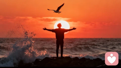 【心理韧性的科学】如何在压力中培育内在力量