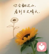 你可以允許自己情緒低落，允許可以接受日子難過，允許可以不用一直想要變得正面，因為接受然后釋懷。配圖