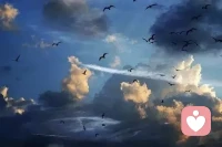 你生命的前半輩子或許屬于別人，活在別人的認為里。
那把后半輩子還給你自己、去追隨你內在的聲音。配圖