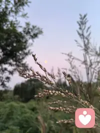 祝所有人所有人，中秋節快樂！配圖