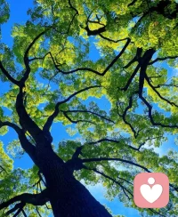 尼采：“這世界沒有真相，只有視角?！迸鋱D