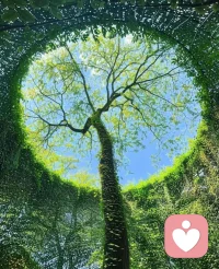 尼采：“這世界沒有真相，只有視角。”配圖