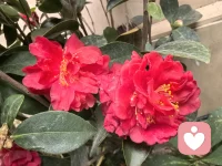 語言不能到達的地方，音樂可以。哪一首歌，會讓你心中升起暖陽，花兒開放呢...配圖