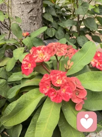 語言不能到達的地方，音樂可以。哪一首歌，會讓你心中升起暖陽，花兒開放呢...配圖