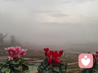 總有那么一些時刻，我們的世界，如同蒙了一層塵，任如何去看，怎也不清。配圖