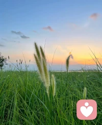 走不通的路就回頭，愛而不得的人就放手，適可而止是智慧配圖