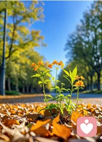 生活雖有風雨，但陽光總會如期而至。配圖
