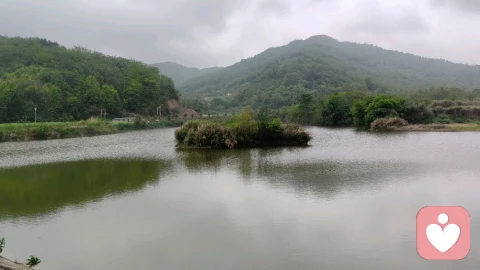 《爱的囚笼：一个\"恋爱脑\"男人的觉醒录》\n