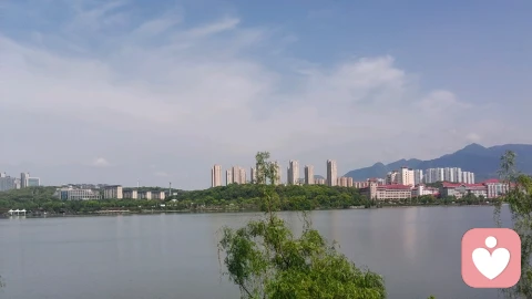 浮生似烛，心向星河