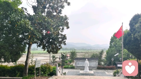 撕掉心理标签，接纳完整自我：从数十年身心创伤中走出的真实疗愈观