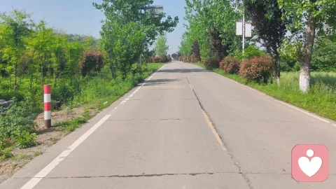 十年心魔，半生自愈：一个高敏感内向者的破茧重生之路