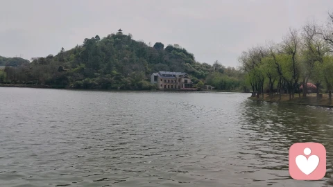 孤笔寄情，一人风月半生相思