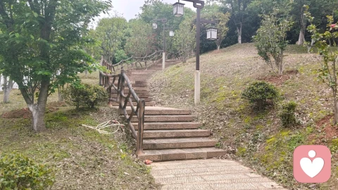 冰火渡劫，半生自愈